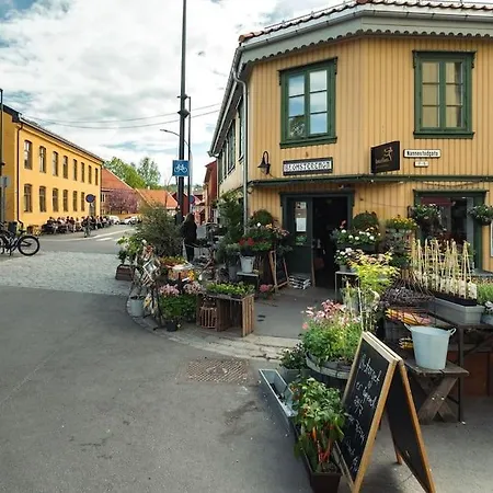 Apartmán Nyoppusset Gamle Oslo
