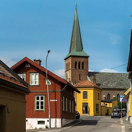 Nyoppusset Gamle