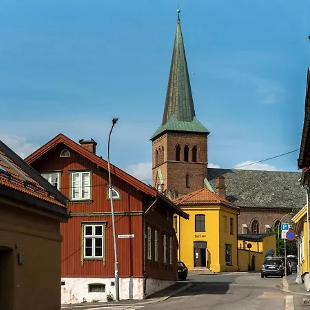 Nyoppusset Gamle *