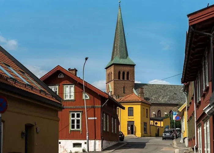 Nyoppusset Gamle